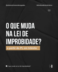 GUIA RÁPIDO: O que muda na Lei de Improbidade?