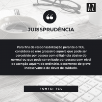O conceito de erro grosseiro para o TCU
