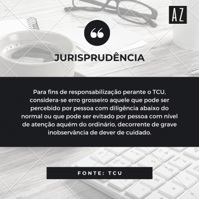 O conceito de erro grosseiro para o TCU
